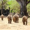 Sri Lanka Album